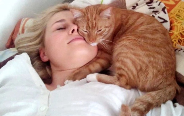Голова или ноги — где спать котику?
