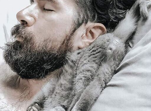 Психологический феномен: Мужчины и котики