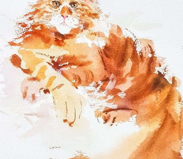 Кот Матвей и Тирамису