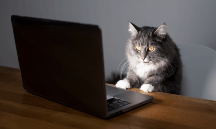 Если бы Кот был копирайтером