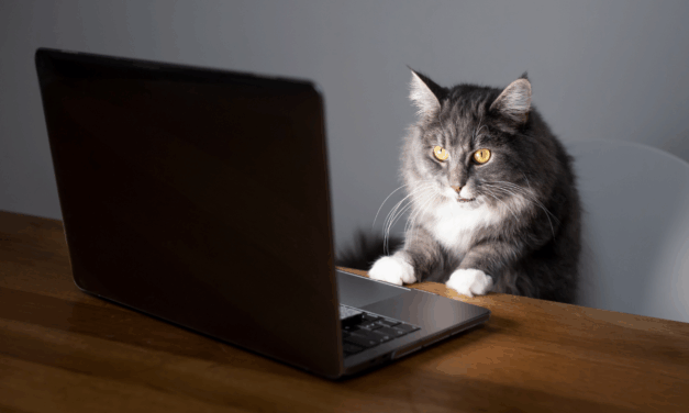 Если бы Кот был копирайтером